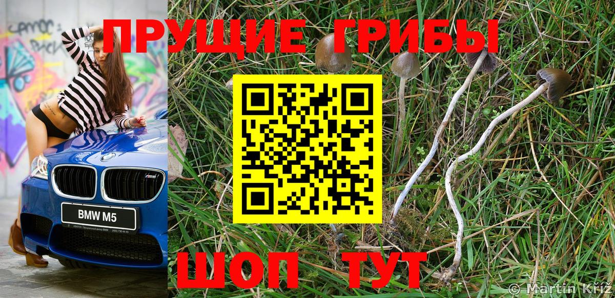 купить   Псилоцибиновые грибы мухоморы  Псилоцибиновые грибы MAGIC MUSHROOMS  Вход с VPN  Назрань 